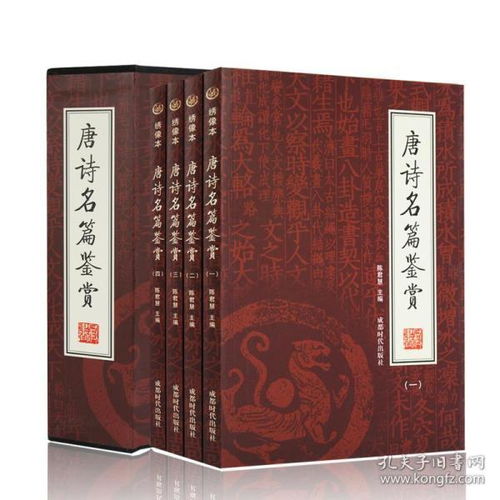 孔网分类