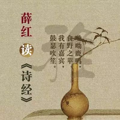 必听 千期 诗经 精品音频,蒋勋 流沙河 于文华倾情呈现诗经之美