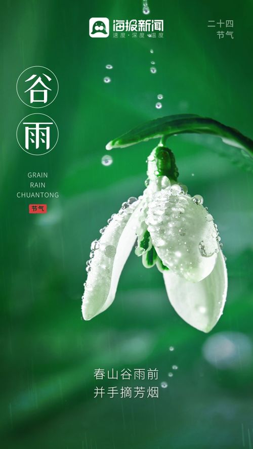 谷雨诗词 留住最后一抹春色
