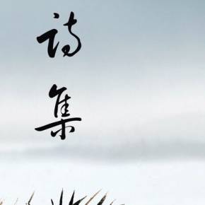 时光的断章 现代诗词汇萃