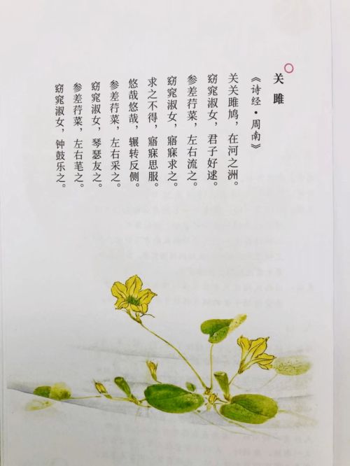 预 今年找到最好用诗词手账日历,一册 日历 记事本 有声诗词书