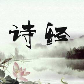 诗韵心弦——诗词朗读者之艺术探析